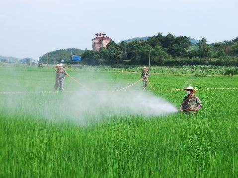 农药原药市场需求疲软，部分品种价格松动