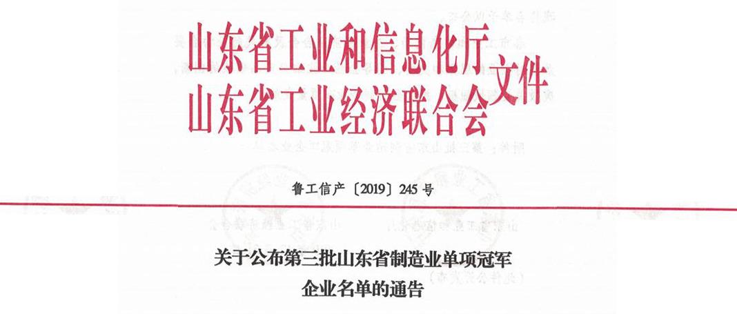 集团荣获山东省第三届制造业“单项冠军”企业荣誉称号